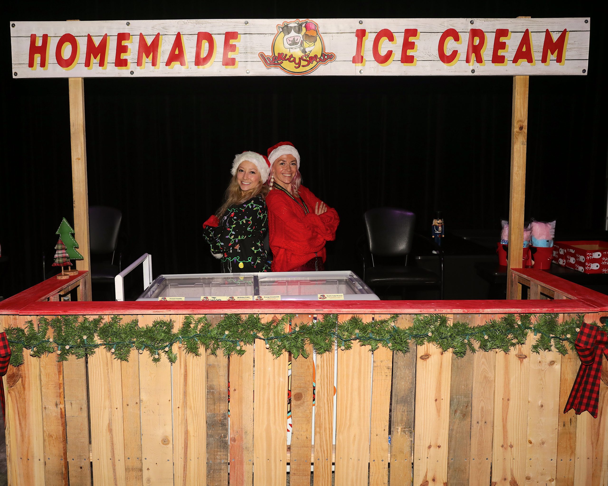 Flight To The North Pole Official Website
